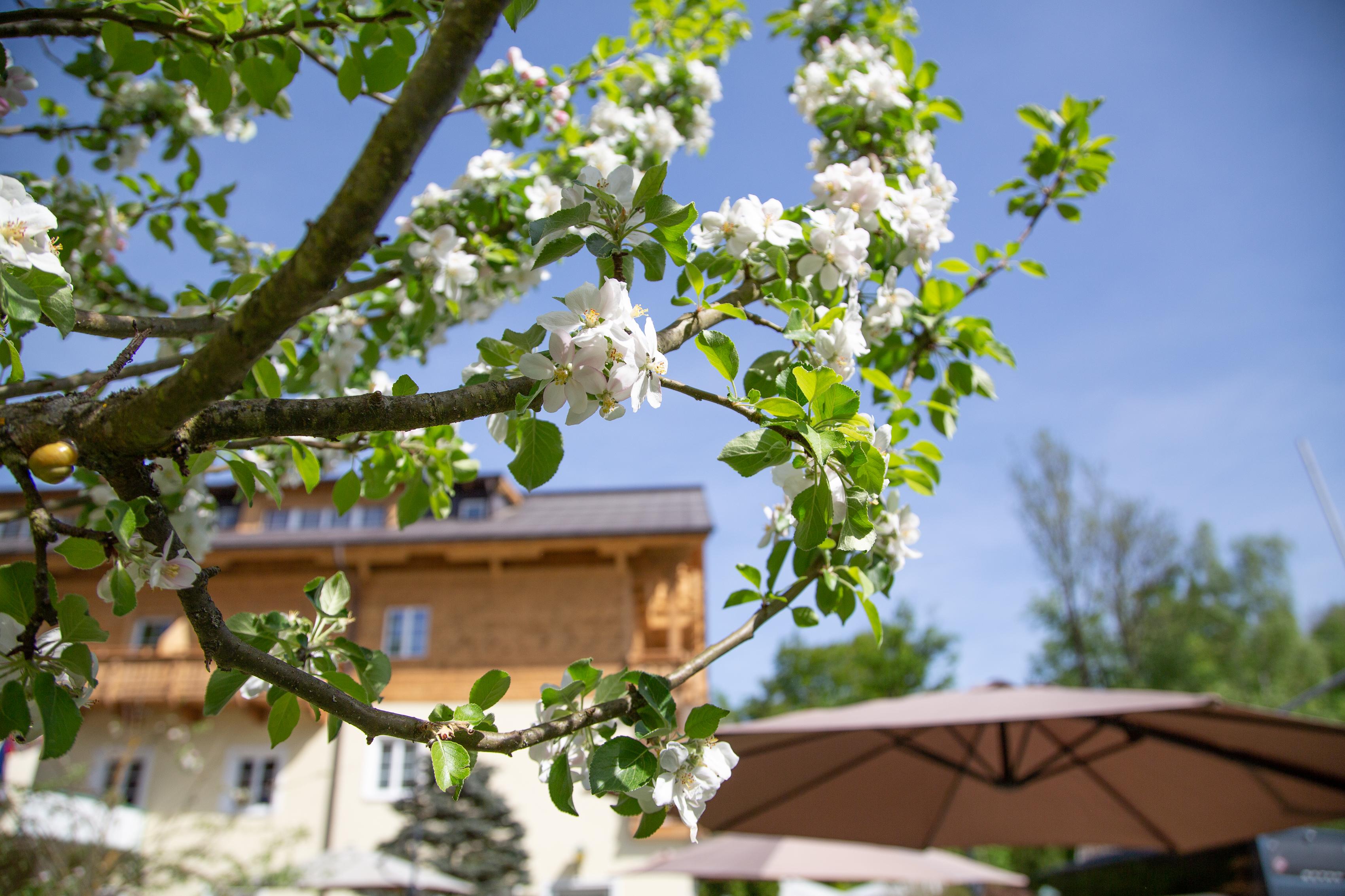 Hotel Foersterhof Lebe Pur, Geniesse Den Tag Sankt Wolfgang im Salzkammergut Екстер'єр фото